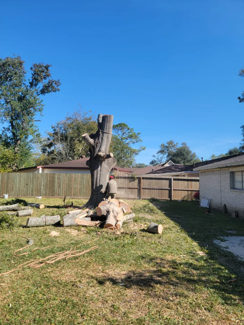 Granding,general tree,stump grinding ,wood fencing in Dickinson TX